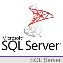 Microsoft SQL Server